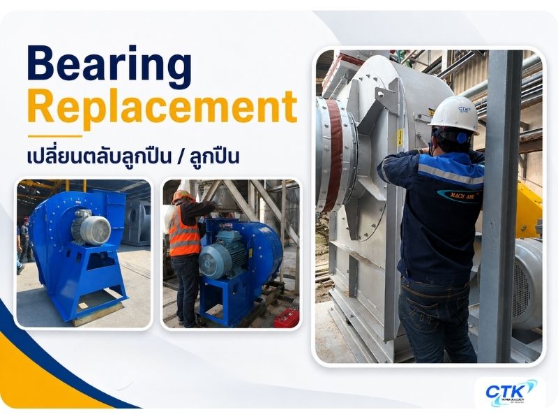Bearing Replacement เปลี่ยนตลับลูกปืน ลูกปืน (2)